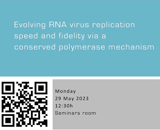 Evolving RNA virus replication speed and fidelity via a conserved polymerase mechanism